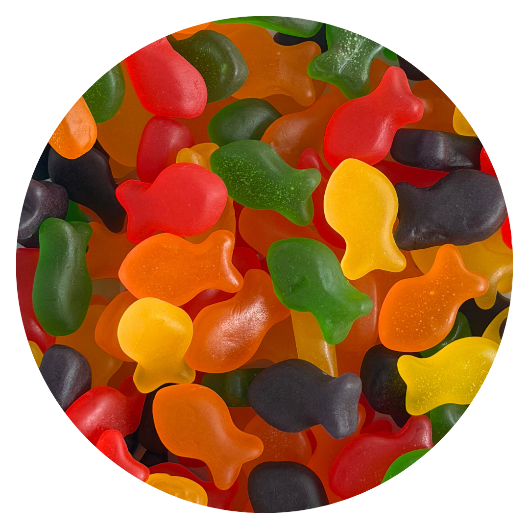 Jelly Fish, 1 Pound