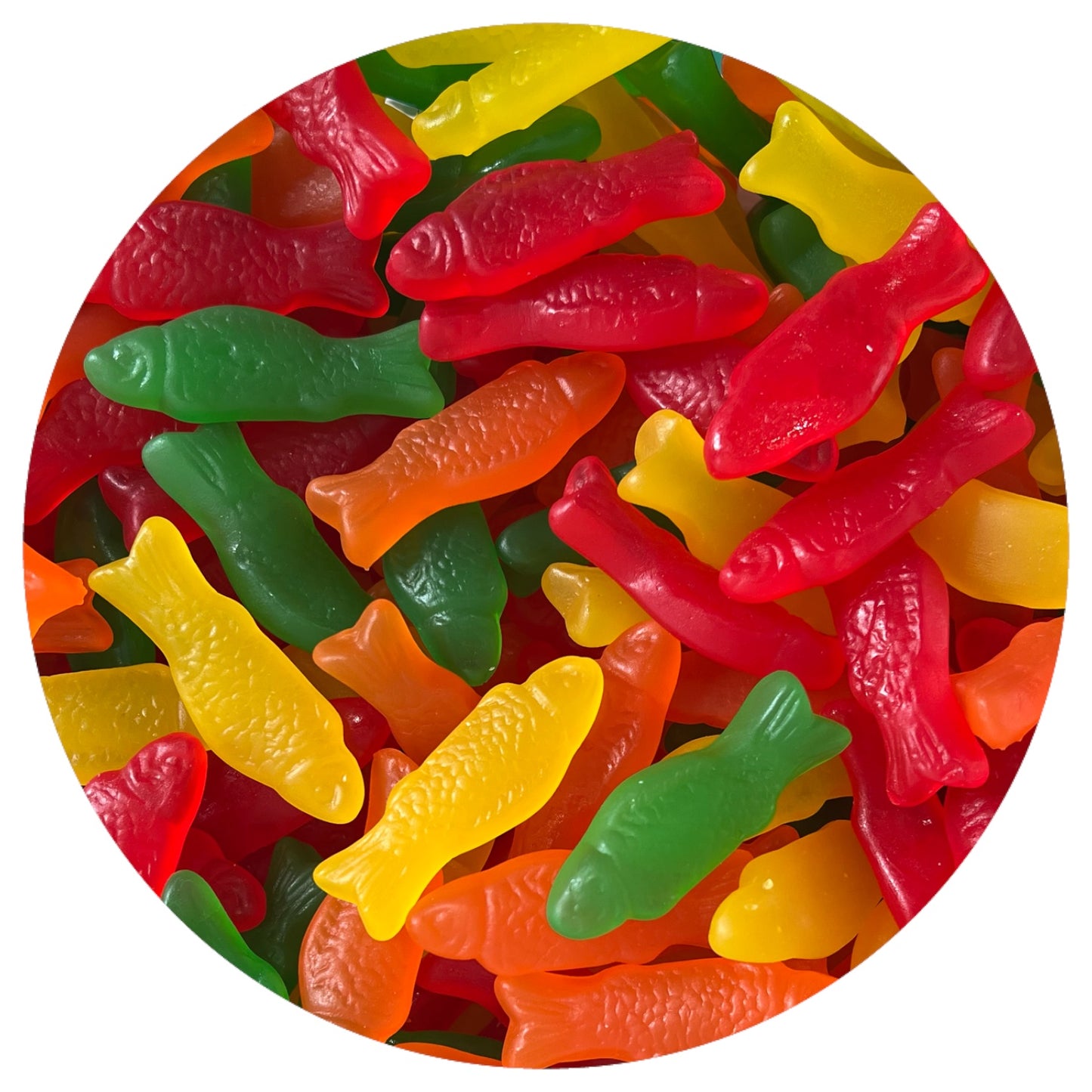 Jelly Belly Jelly Fish