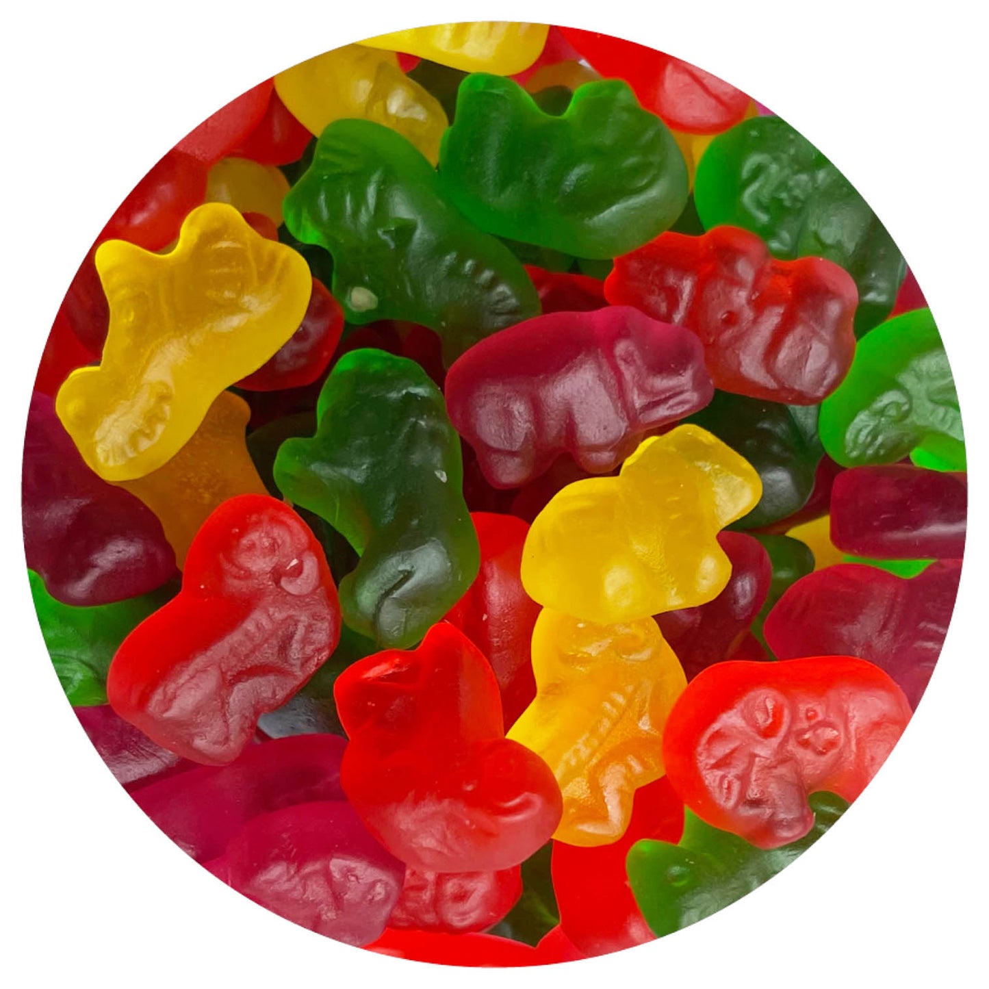 Jelly Safari Animal Candies, 1 Pound