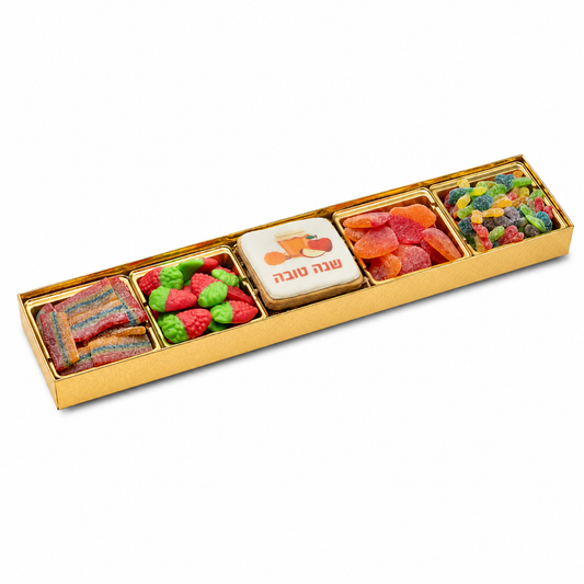 Long 5 Section Rosh Hashana Tray